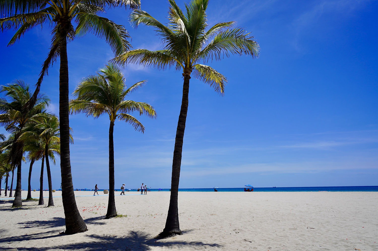Hollywood Beach & Broadwalk 31